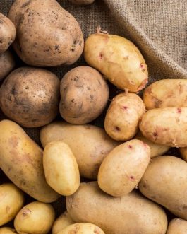 Tubers