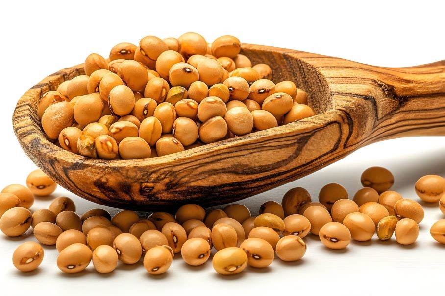 Brown Beans